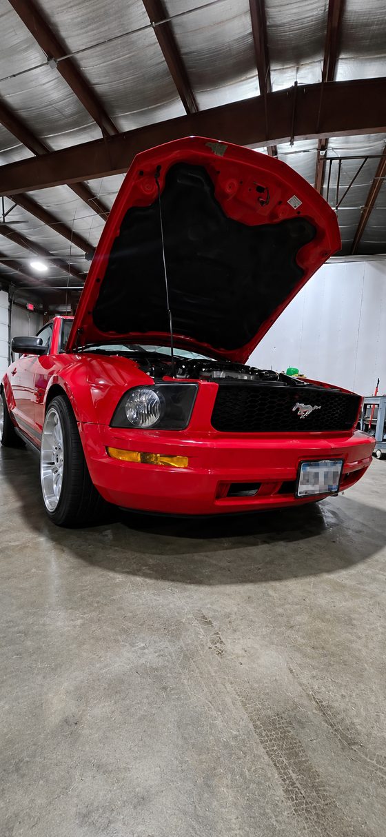 A used car in for a pre-purchase inspection at DAVID's Auto Care